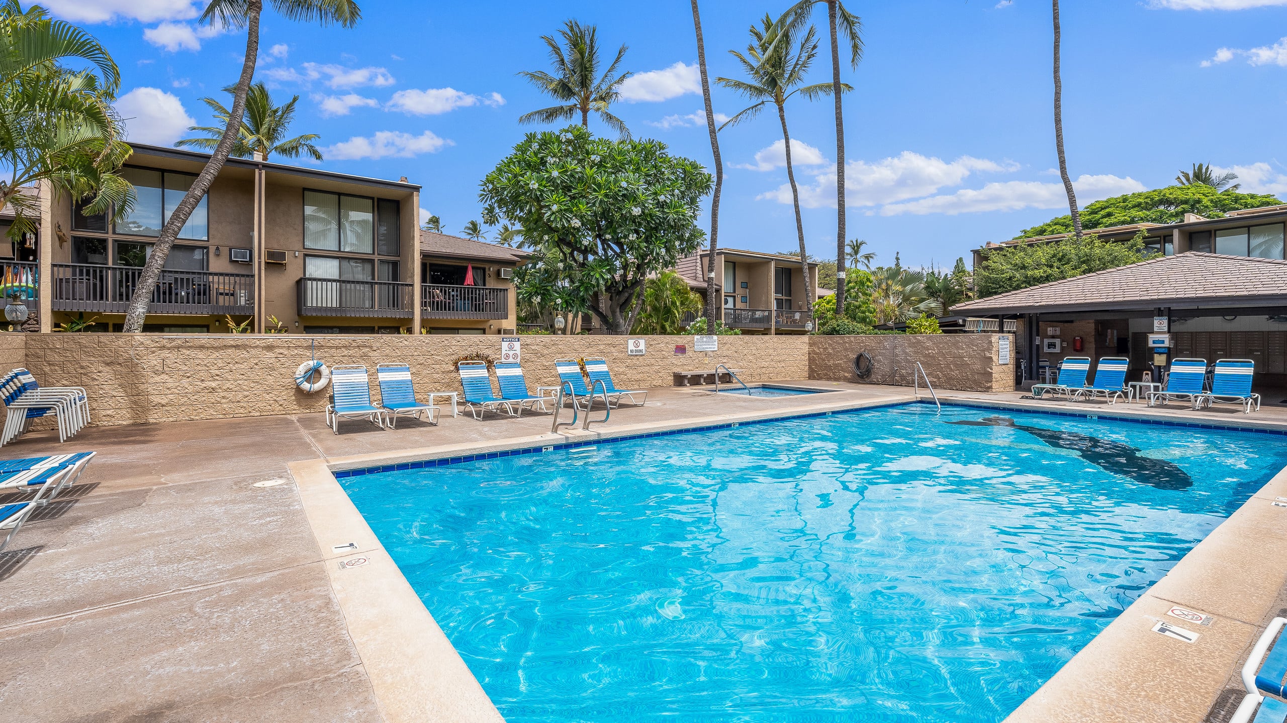 Condo in Kihei · ★4.78 · 2 bedrooms · 3 beds · 1 bath - Image 63