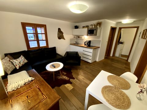 Apartment No. 59 Loket (room 2)