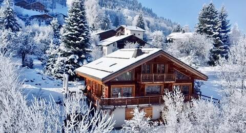 Charming chalet pied slopes 20p sauna bain Nordique