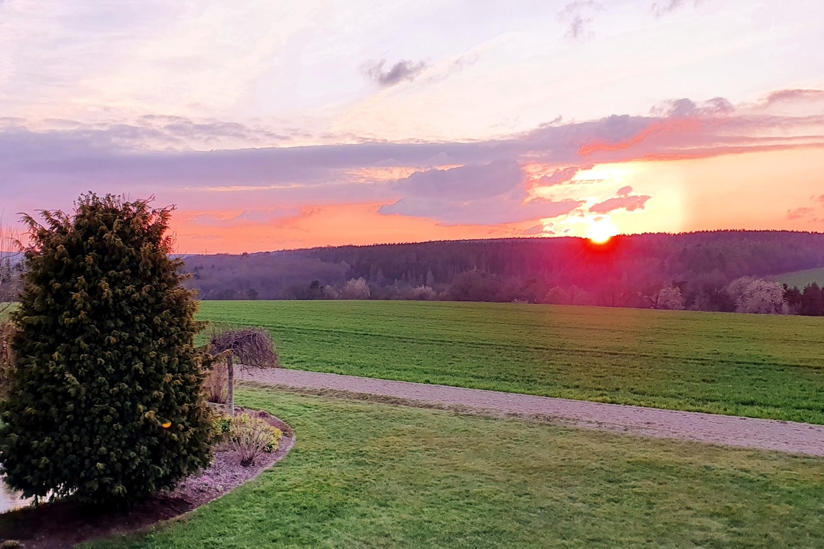 A serene landscape showcases a vibrant sunset over lush green fields, with gentle rolling hills in the background. A solitary tree stands in the foreground, adding depth to the scene as the sky transitions through soft pastel hues.