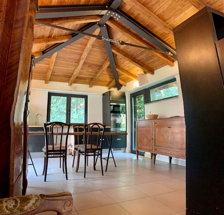 Trevignano woods Vacation homes for Rent in Monterosi, Viterbo, Italy