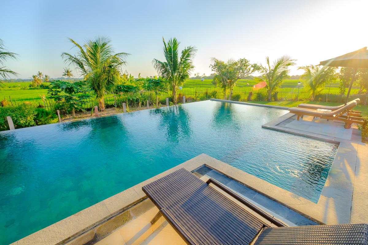 An infinity pool with a smooth surface reflects the clear sky, surrounded by lush greenery. Lounge chairs are positioned at the pool's edge, inviting relaxation. The landscape offers unobstructed views of rice fields and palm trees, contributing to a serene atmosphere.