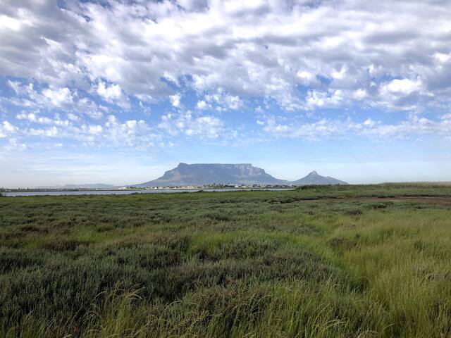 Pleasant home with pool and Table Mountain Views gallery image 4