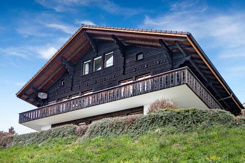 SwissHut Stunning Views Alps & Lake
