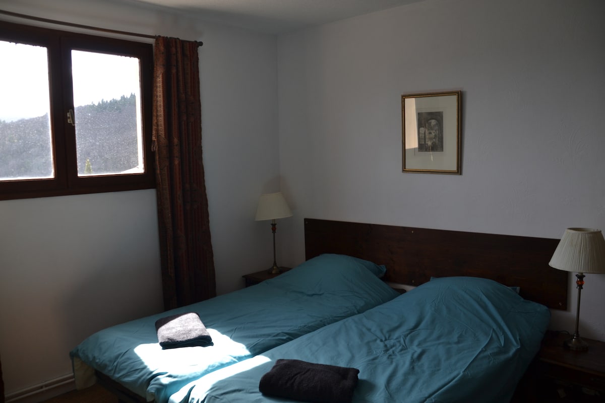 一楼的卧室配有2张单人床和大衣柜。