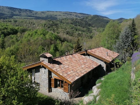 Mountain Chalet- Les Pedres