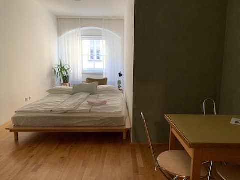 Toplage: Linzer Hauptplatz (Green Apartment)