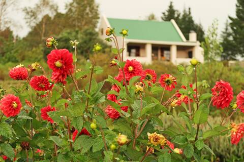 Trengwainton Cottage