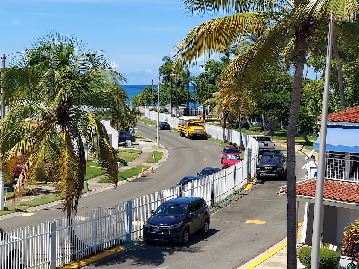 A scenic view of a curving street lined with palm trees and a white picket fence. Vehicles are parked along the road, with a yellow bus traveling in the distance. The ocean is faintly visible at the end of the street under a clear blue sky.