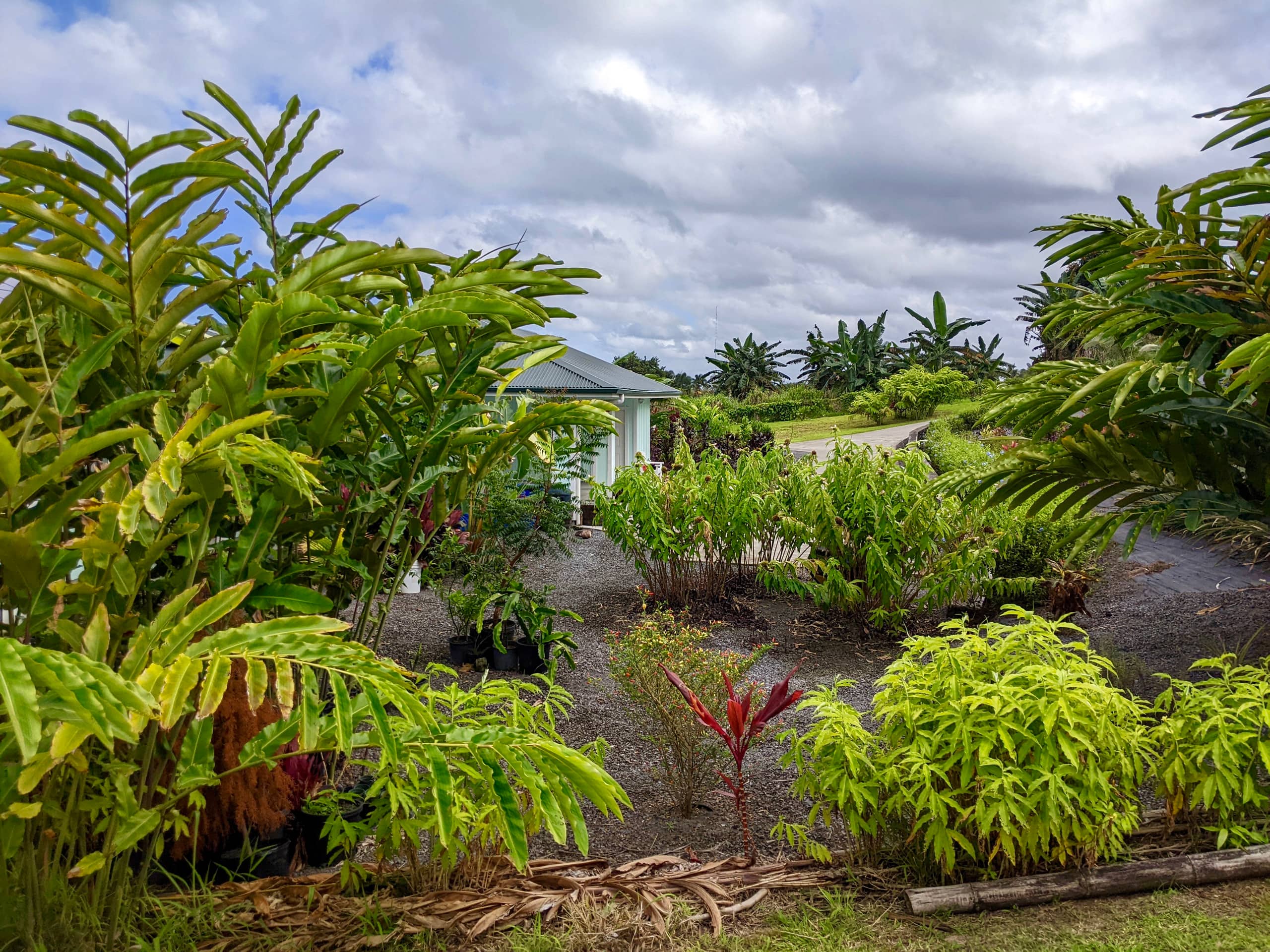 Home in Papaikou · ★4.97 · 2 bedrooms · 3 beds · 2 baths - Photo 80