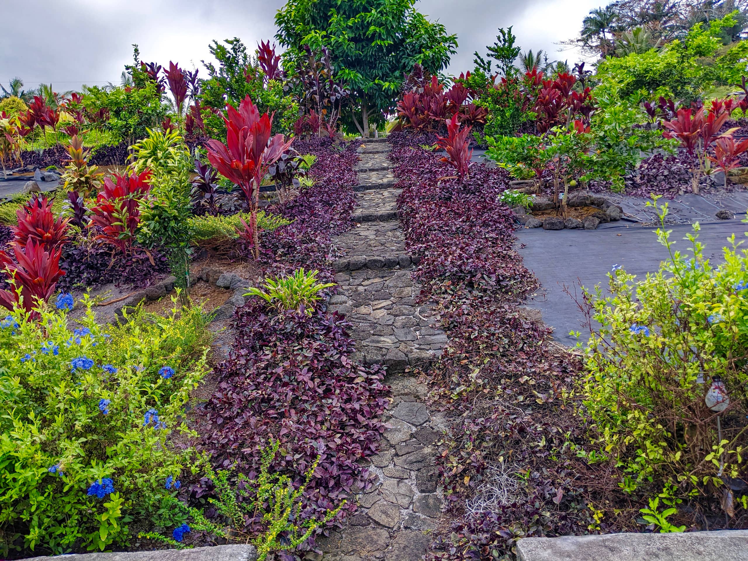Home in Papaikou · ★4.97 · 2 bedrooms · 3 beds · 2 baths - Photo 72