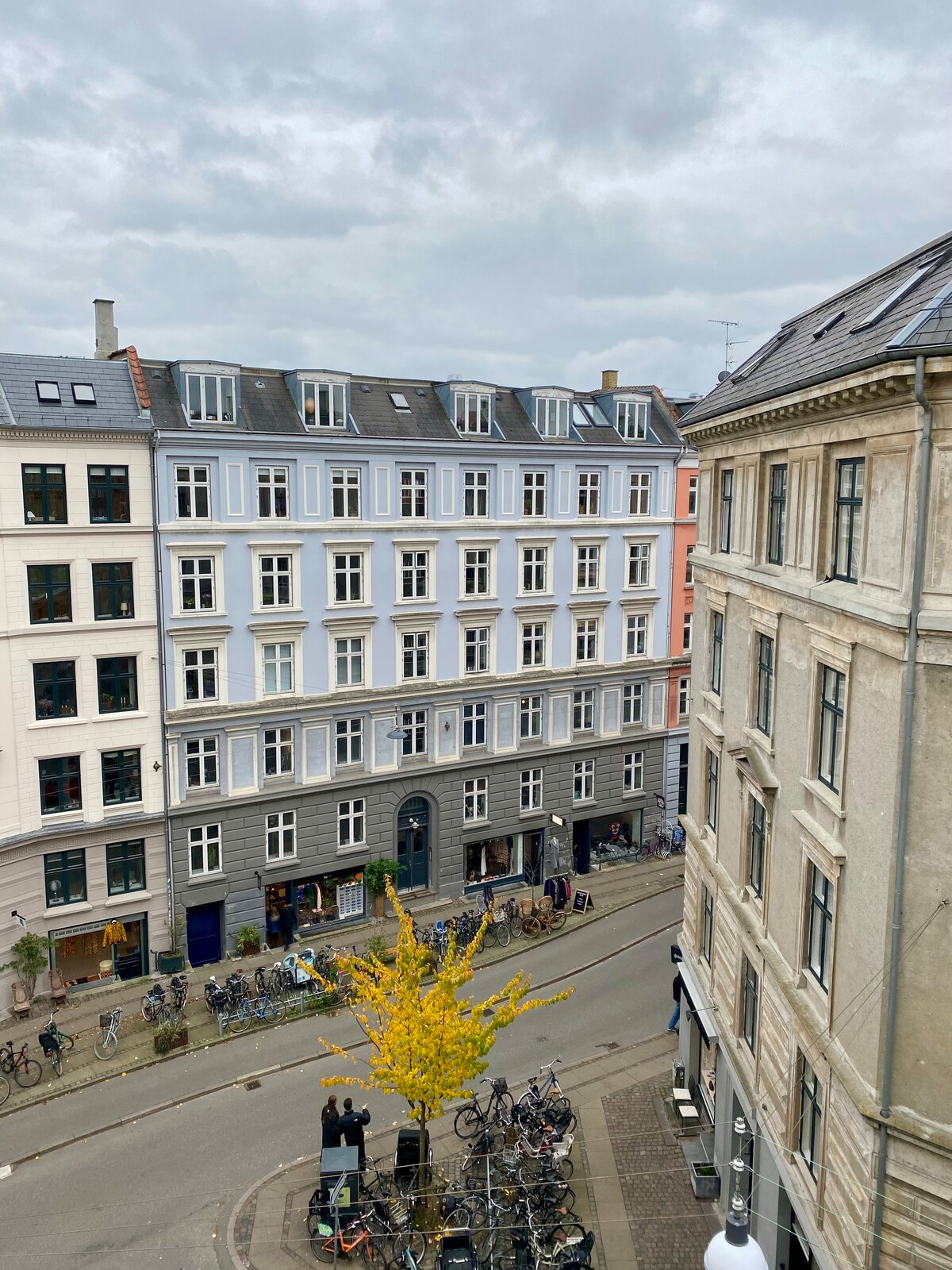 An urban scene showcases a row of classic buildings with large windows and pitched roofs. Bicycles are parked along the street. A vibrant yellow tree stands prominently in the foreground, contrasting with the muted tones of the surrounding architecture under a cloudy sky.