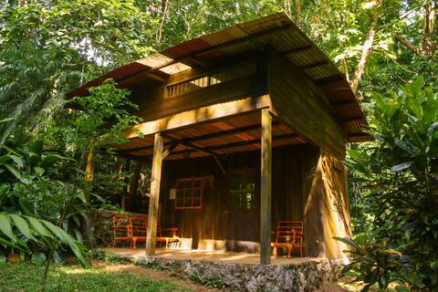 Duplex cabin in the rainforest