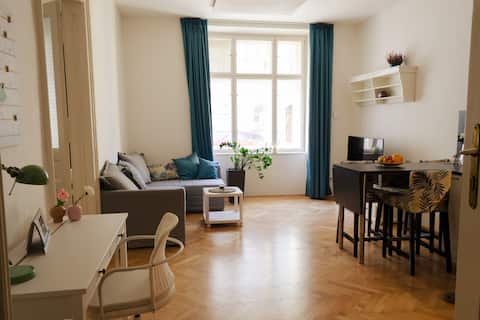 Spacious townhouse apartment