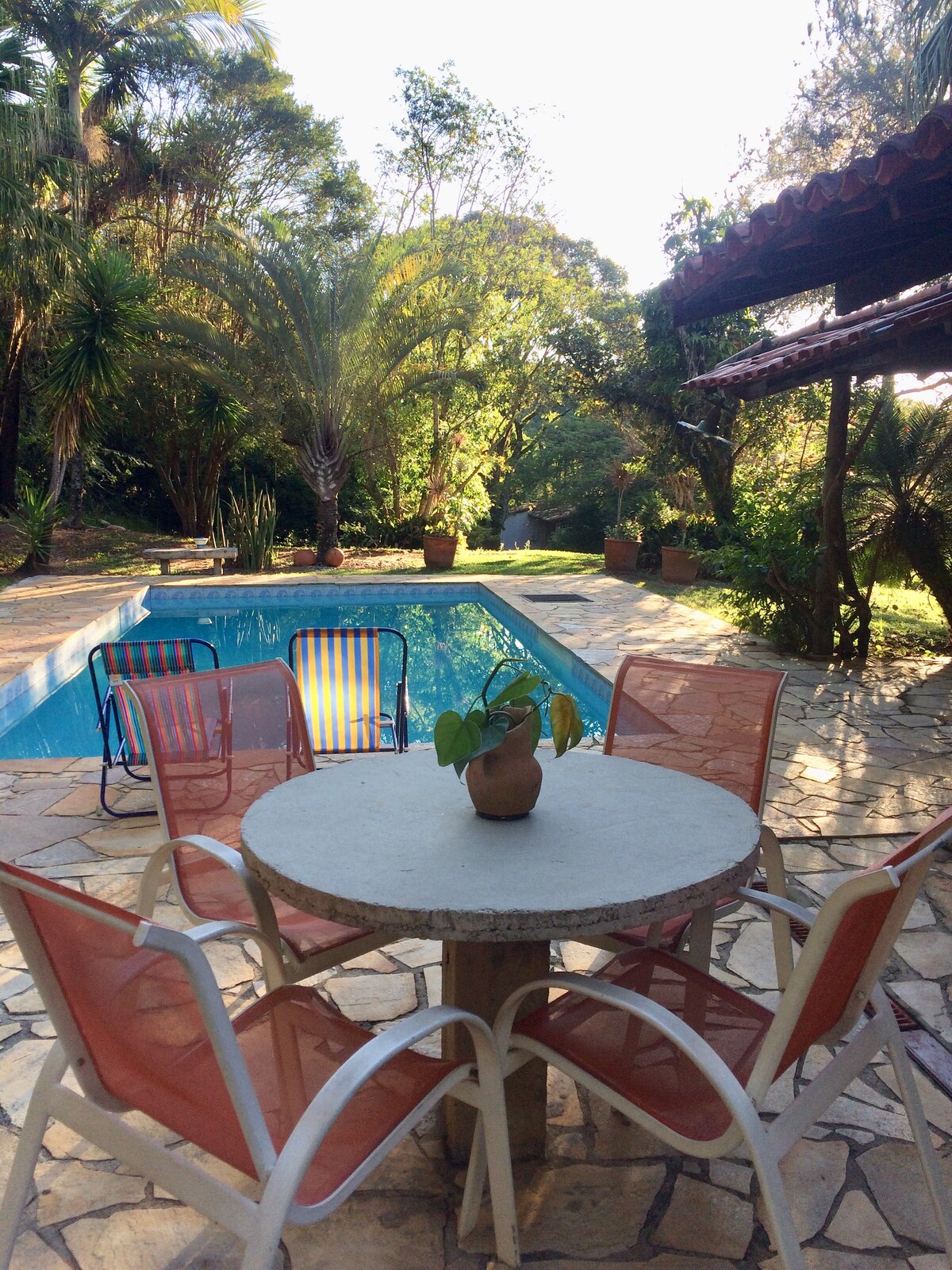 A circular stone table is surrounded by six colorful chairs, positioned near a swimming pool. Lush greenery creates a serene backdrop, with sunlight filtering through the trees. The pool features clear water, reflecting the surrounding nature.