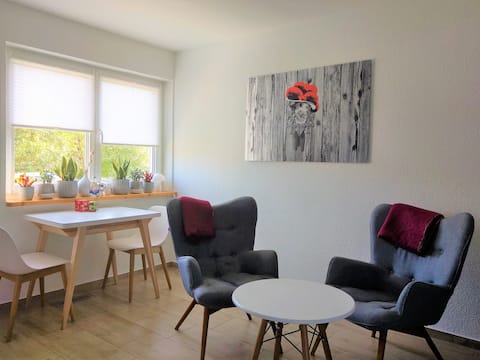 Modern design appartement in Black Forest + garden