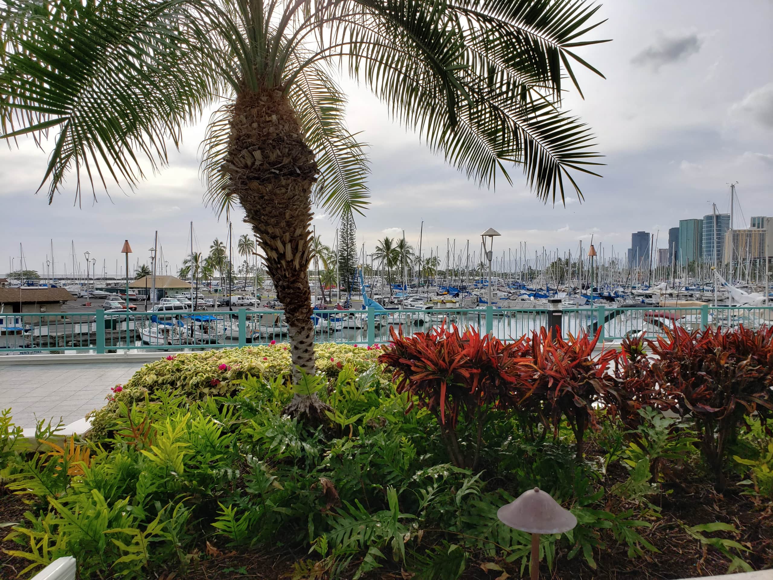 Ocean Frontage with Mountain Views - Image 7