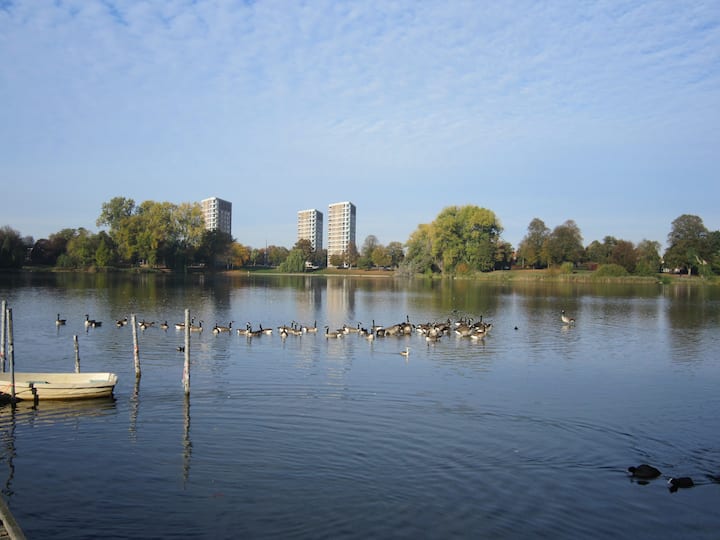 עוד אשת ברזל 