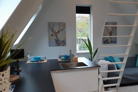 Cozy, modern apartment Klein Waldeck in Velp