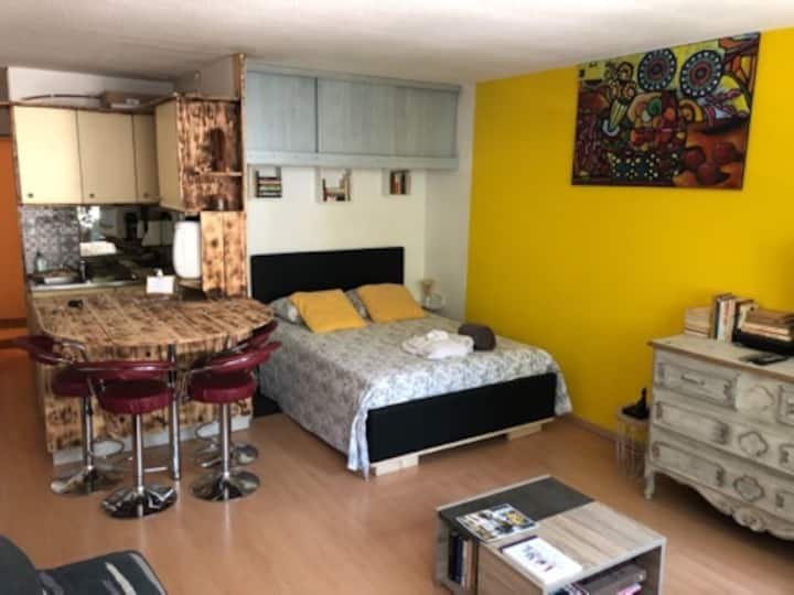 Studio Victoria II (30m2) 14 p. Mondesert station Apartments for