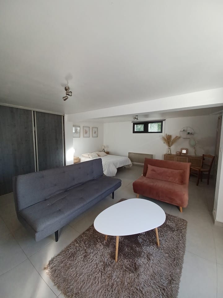 Studio Entrée Indépendante Avec Sdb - Villeneuve-Saint-Georges