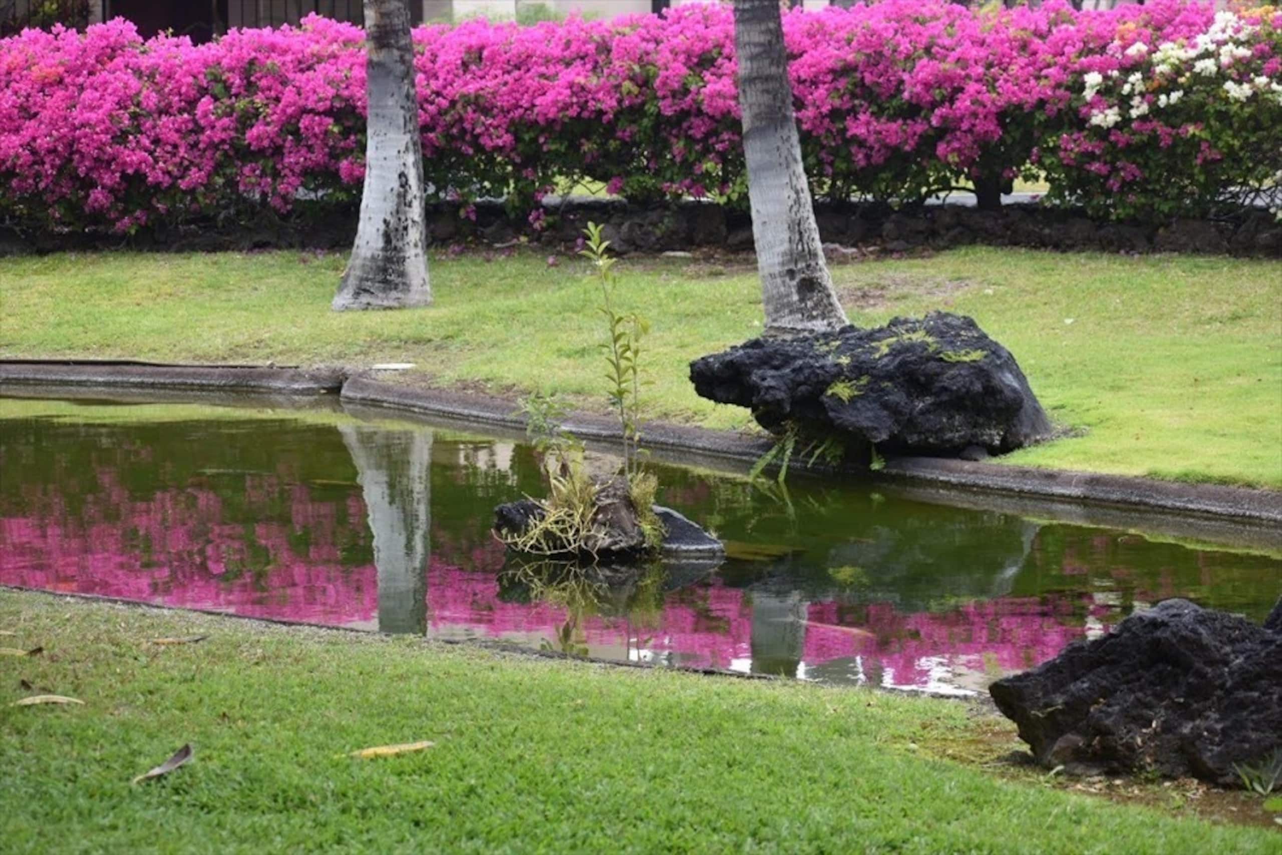 Enjoy lush tropical lifestyle in Waikoloa Resort - Photo 33