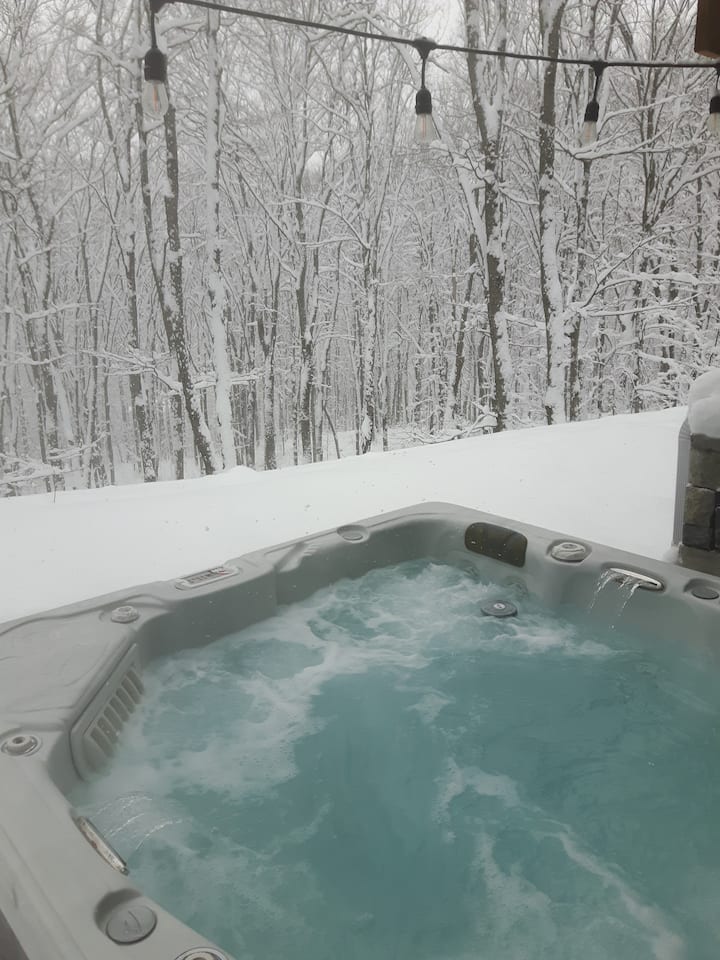 Retreat/private hot tub, near Horseshoe Valley Guest suites for Rent