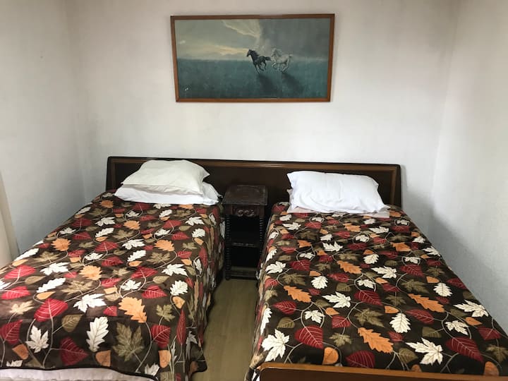 Убава и пространа соба со два единечни кревета.