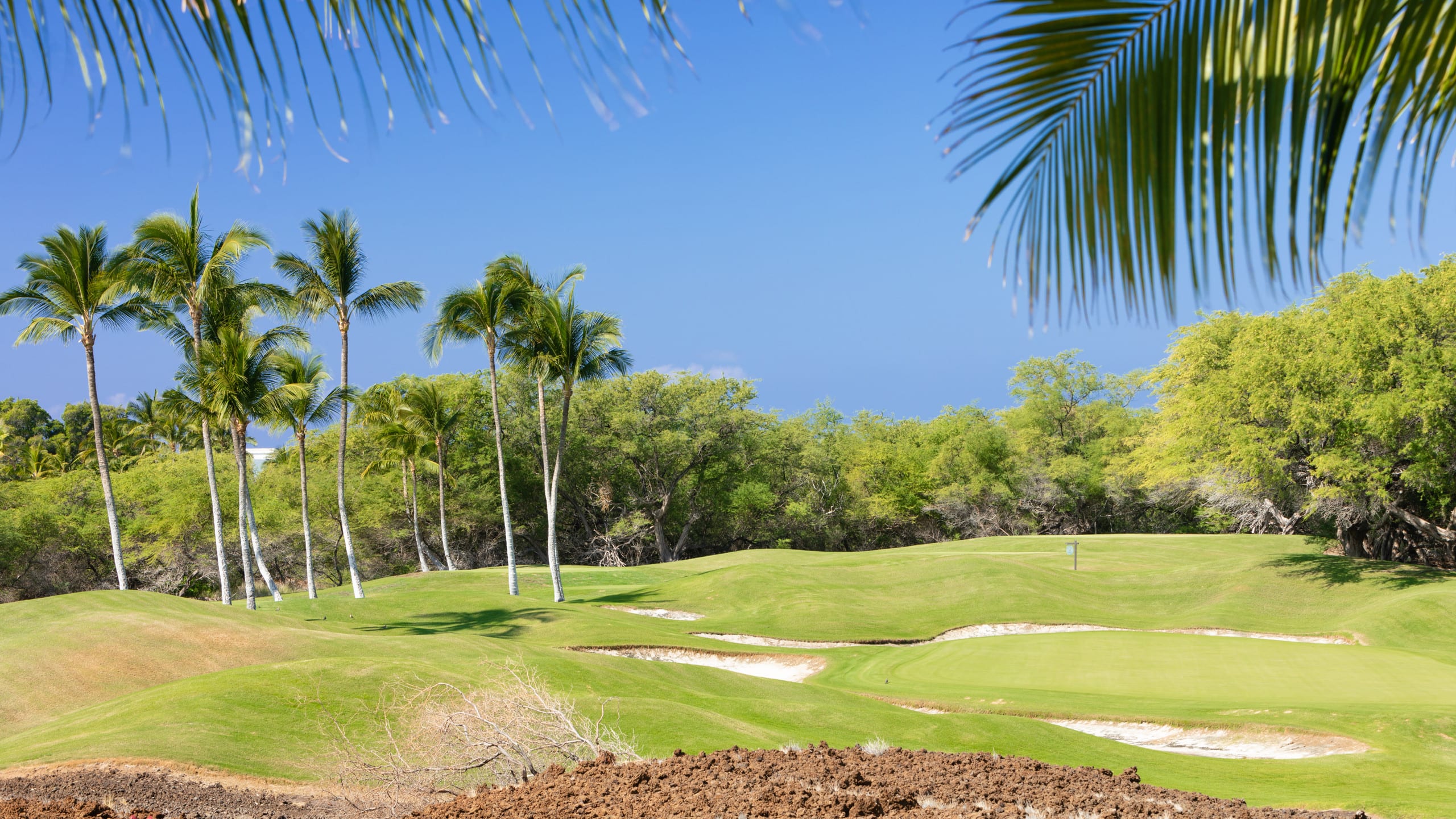 Home in Waimea · ★4.7 · 3 bedrooms · 6 beds · 3 baths - Image 54