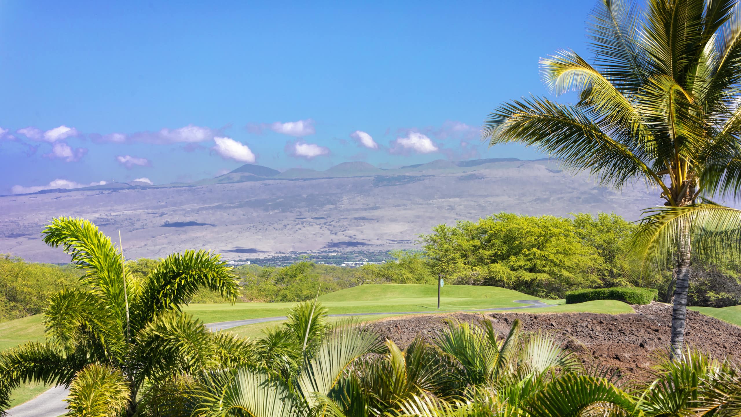 Home in Waimea · ★4.7 · 3 bedrooms · 6 beds · 3 baths - Image 10
