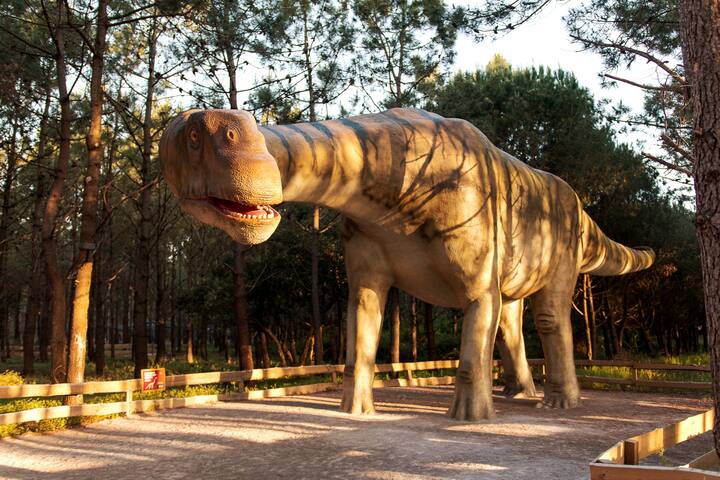 Vivenda T4 Diplodocus Furnaka Village gallery image 5