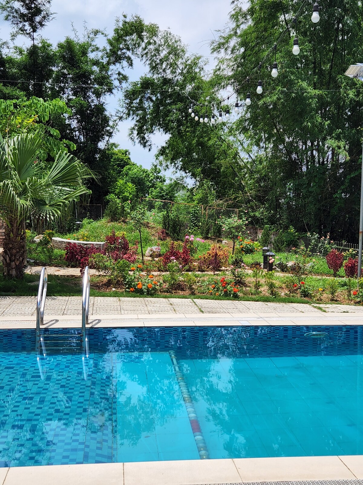 A private swimming pool features clear blue water, with steps leading into it. Surrounding the pool, lush greenery and vibrant flower beds create a natural backdrop, while overhead lights provide illumination for evening use.