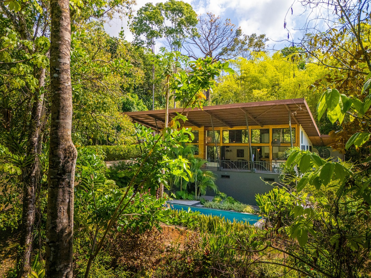 The house is nestled among lush greenery, featuring a large veranda and numerous windows that provide a view of the surrounding jungle. A lap pool can be seen in the foreground, with tropical plants framing the scene, creating a serene environment.