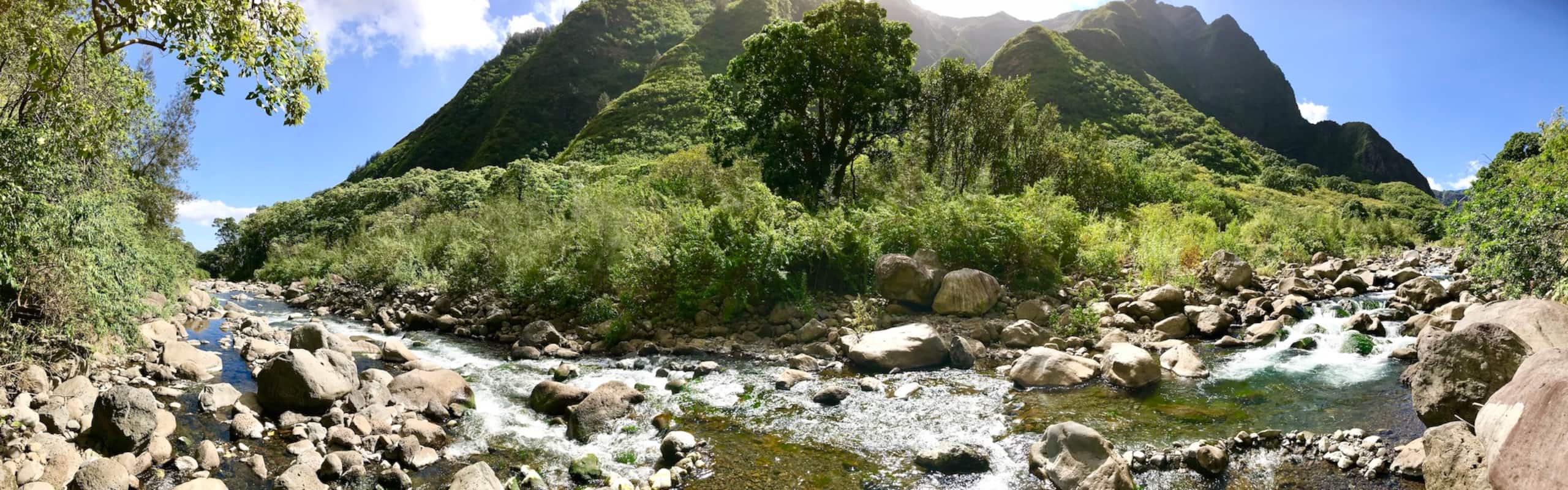 Home in Wailuku · ★4.86 · 1 bedroom · 2 beds · 1 bath - Image 7