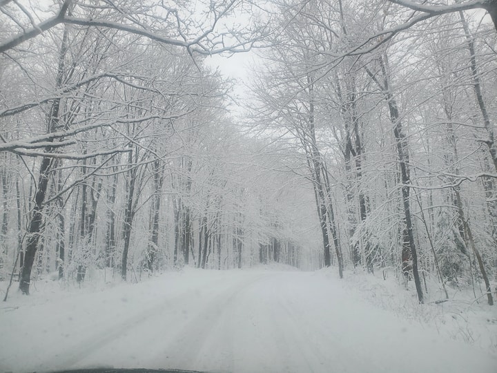 Gwinn Vacation Rentals Airbnb