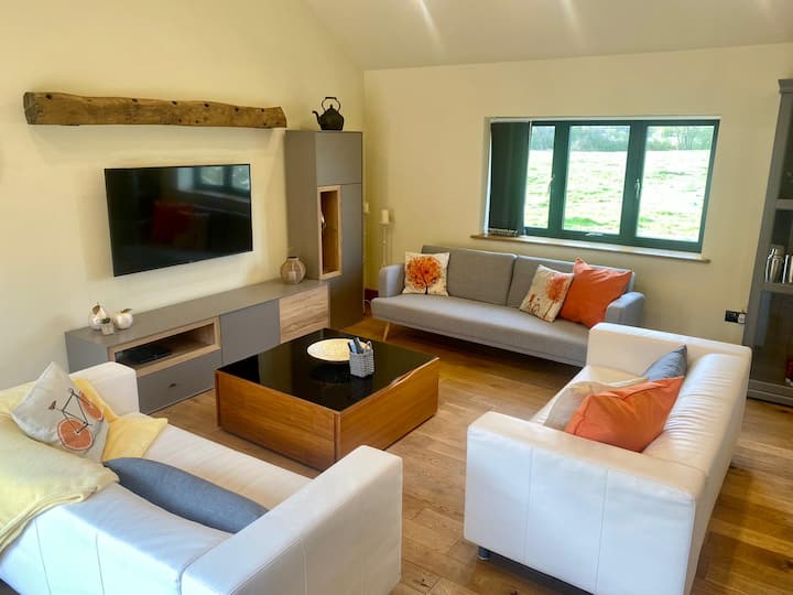 living area with sofa bed