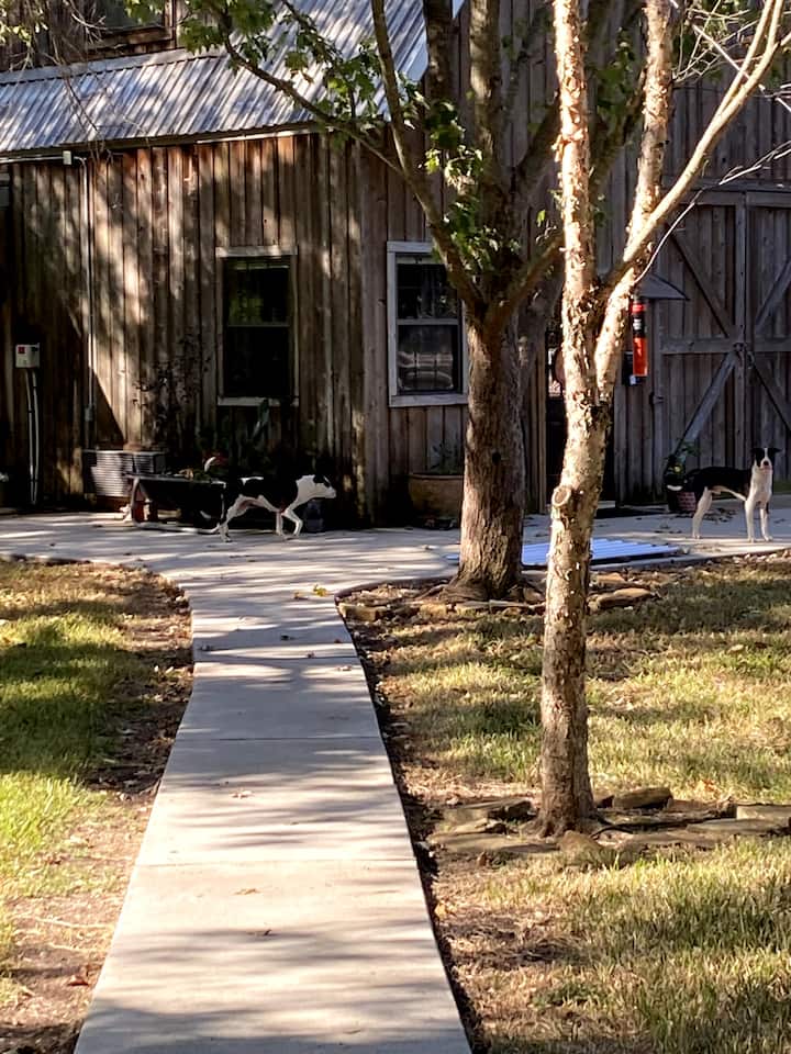 14 Best Airbnb Vacation Rentals In Katy, Texas Updated 2024 Trip101