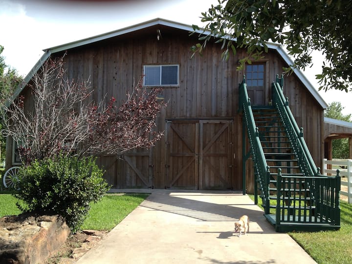 14 Best Airbnb Vacation Rentals In Katy, Texas Updated 2024 Trip101