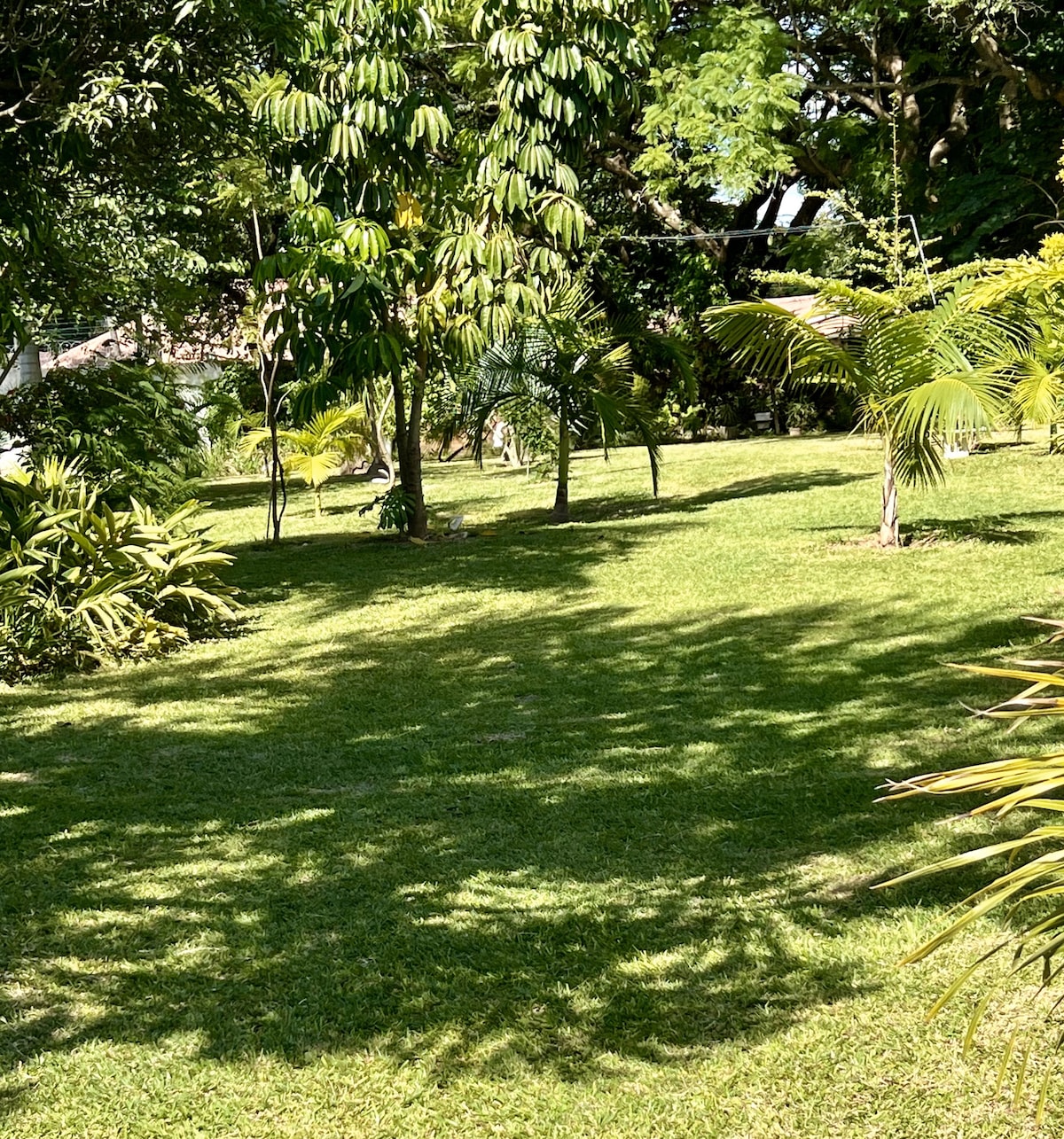 A lush, manicured garden is visible, featuring various tropical plants and trees that provide shade. Sunlight filters through the foliage, creating patterns on the well-maintained grass. The space is tranquil and inviting, perfect for relaxation or outdoor activities.