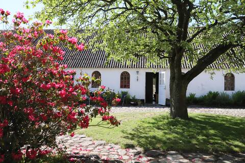 Rural idyll at Dommergården, Læsø Bed & Coffee.