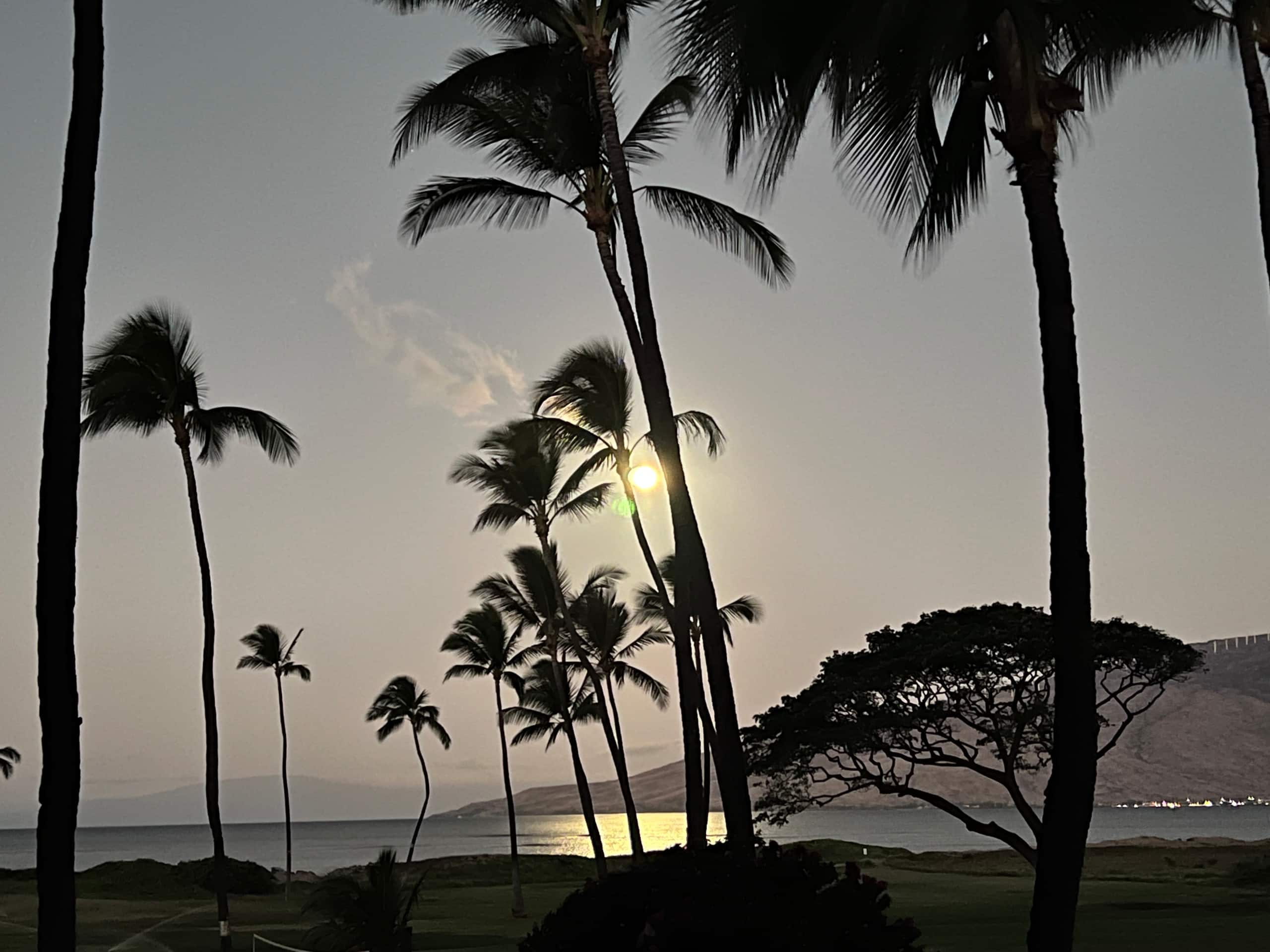 Condo in Kihei · ★4.8 · 2 bedrooms · 3 beds · 2 baths - Image 27