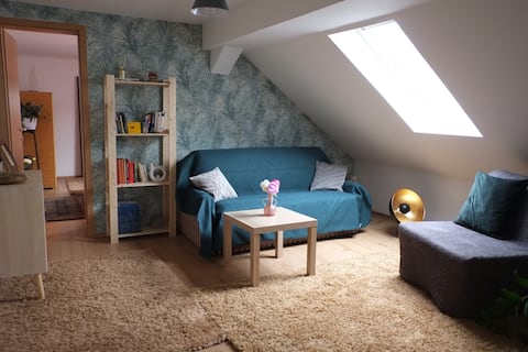 Popular Airbnb listing: Spacious apartment with yard, parking, BBQ in Novi Zagreb Zapad