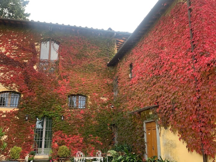 Residenza Strozzi The Stables: Pool Garden Parking - Tuscany