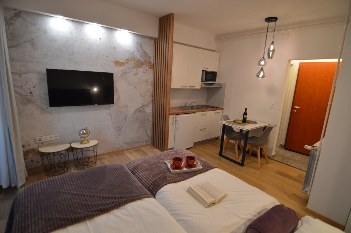 Studio apartment