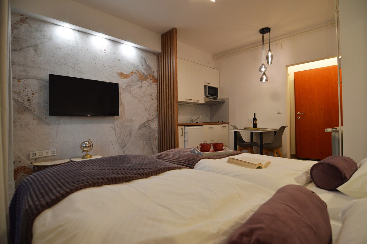 Studio apartment