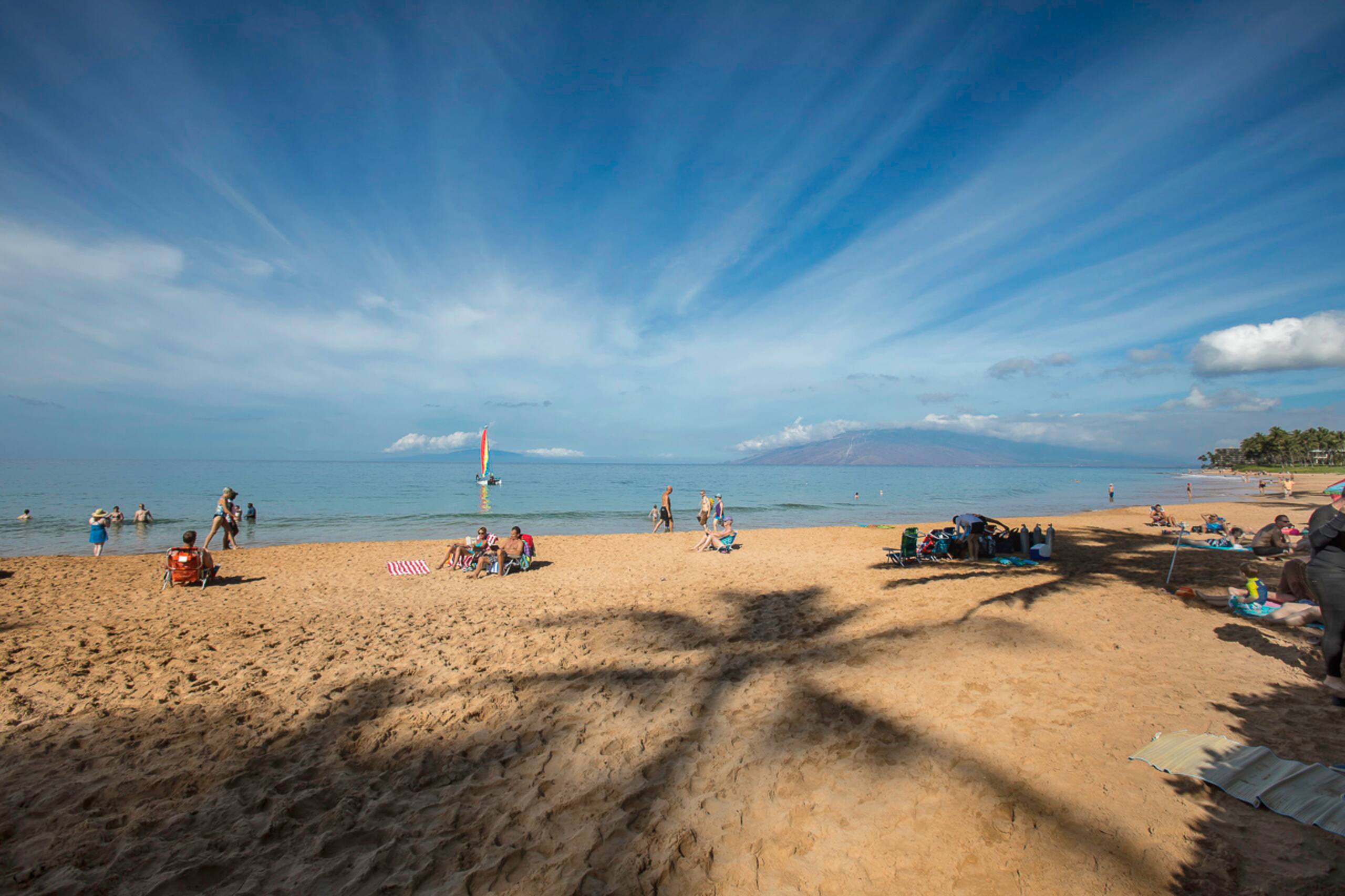 Condo in Kihei · ★4.92 · 2 bedrooms · 3 beds · 2 baths - Image 45