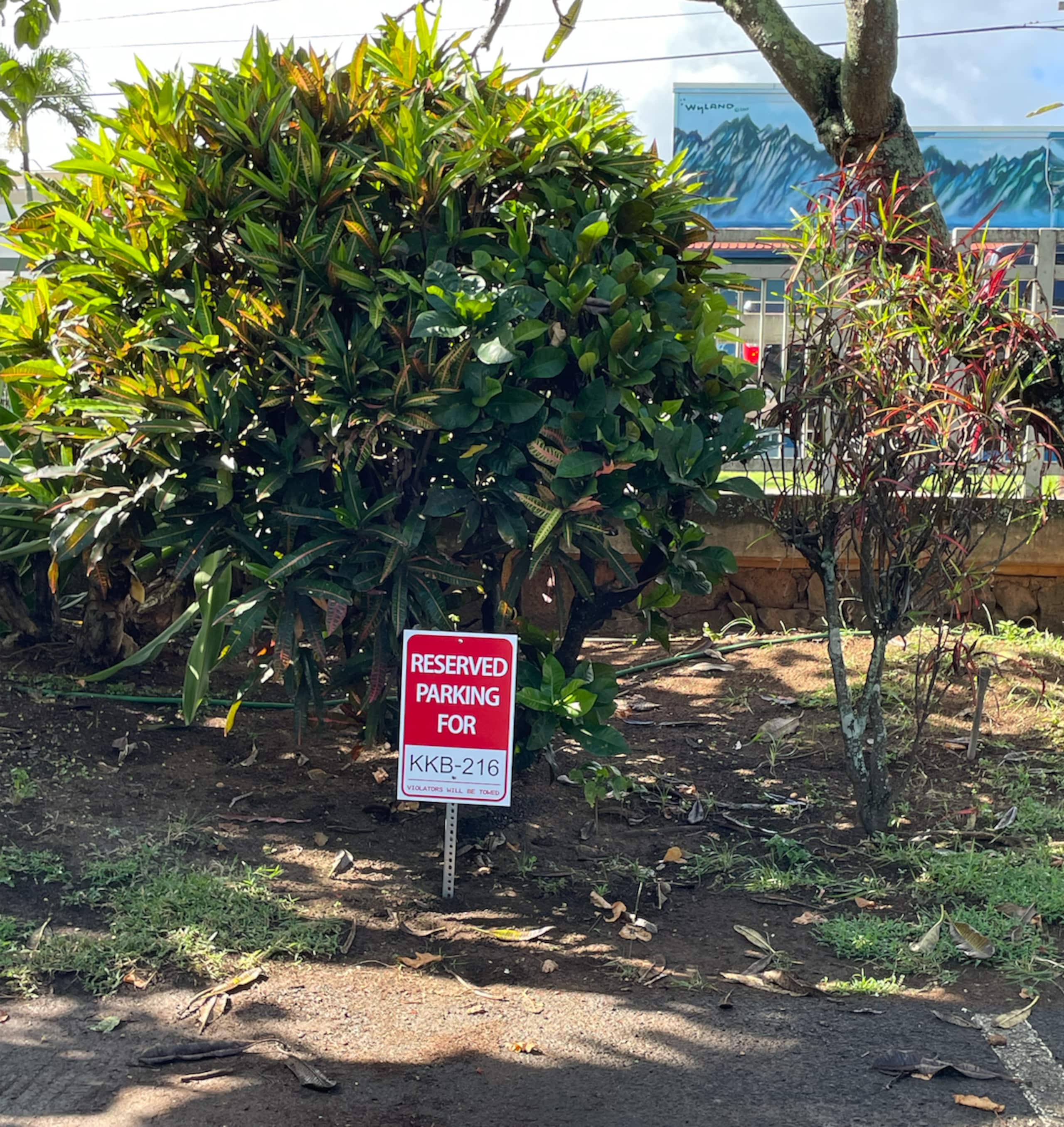 Condo in Kapaa · ★4.84 · 2 bedrooms · 3 beds · 1 bath - Image 8