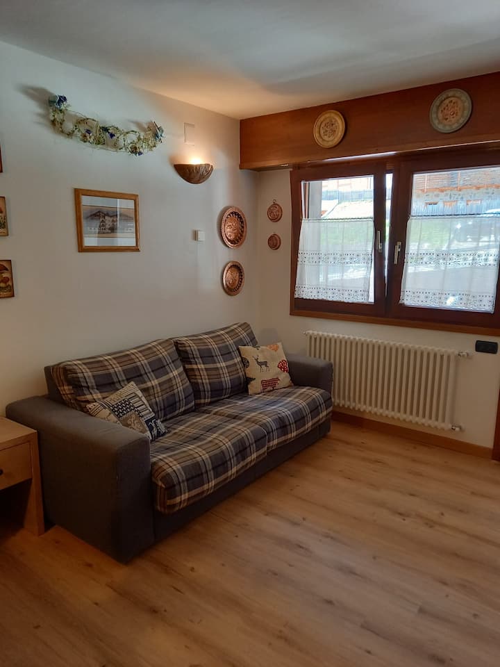 سرير أريكة مزدوج في غرفة المعيشة - أريكة مزدوجة قابلة للتحويل في غرفة المعيشة