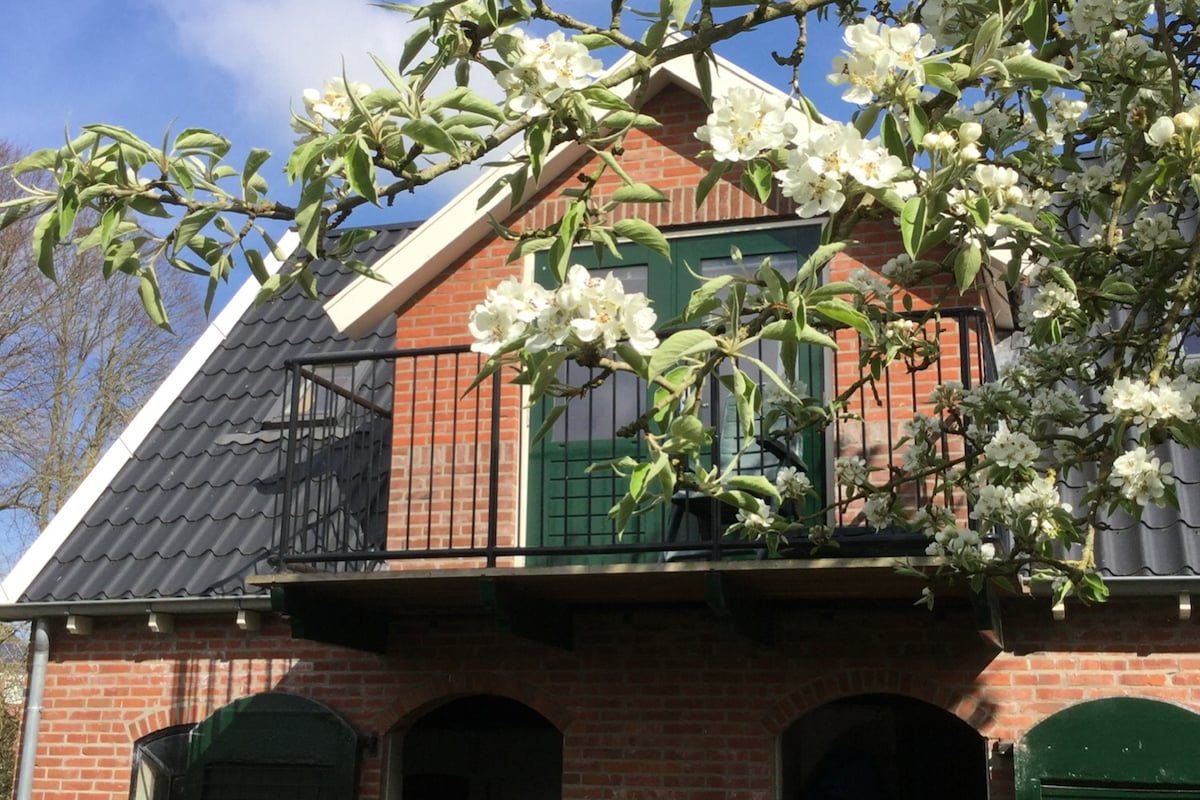 A charming building features a balcony adorned with blooming flowers, framed by green leaves. The structure showcases a combination of red brick and black roofing, with dark green door panels that complement the overall aesthetic.