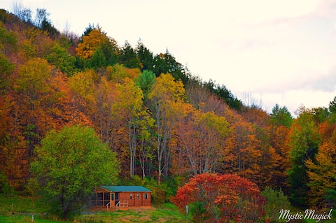 Remote, pond view log home, fully loaded, sleeps 6